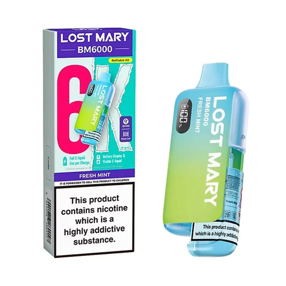 Lost Mary BM6000 Fresh Mint rechargeable prefilled pod kit